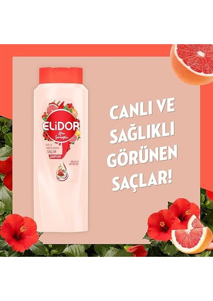 Saç Bakım Şampuanı Canlı ve Sağlıklı Görünen Saçlar By Afra Saraçoğlu 650 ml modelleri