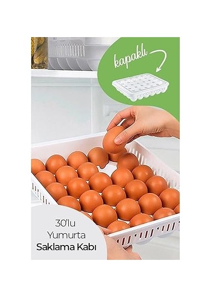 30'lu Kapaklı Yumurta Saklama Kabı, Akrilik Plastik 30'lu Yumurta Saklama Kabı, 30'lu Yumurtalık fiyatları