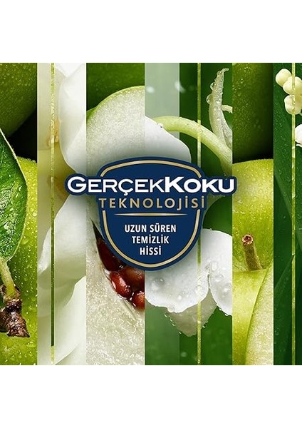 Aerosol Sabah Tazeliği Oda Kokusu 300 ml (1 x 300 Ml) indirimleri