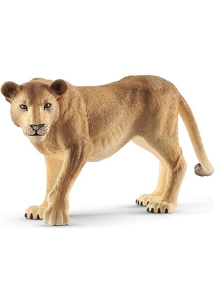 14825 - Löwin, Renkli