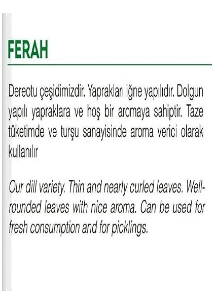 Tarım Ata Tohumu Yerli Dereotu Ferah 1000 Adet Tohum fiyatları