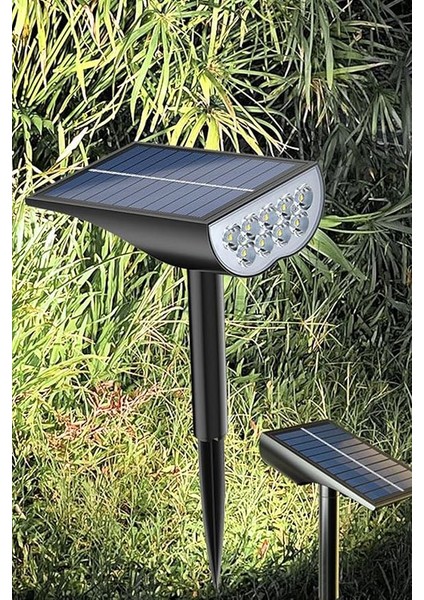 Enerjili Bahçe Aydınlatması, Duvar Bahçe Işıkları (Uzay Mekiği)