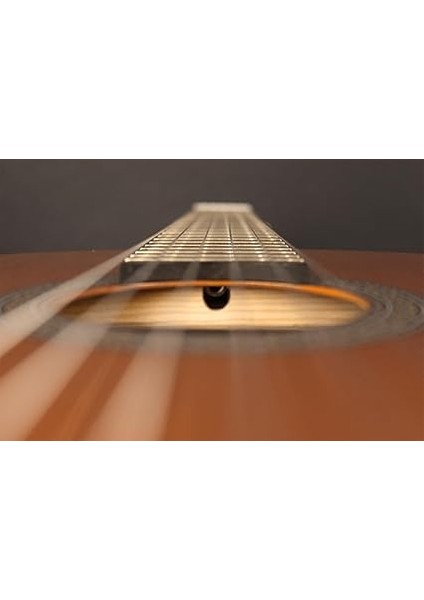 Klasik Gitar AC100DXOP fiyatları