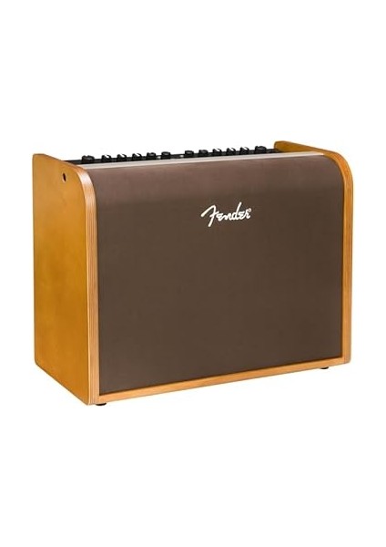 Acoustic 100 Akustik Gitar Amfisi modelleri