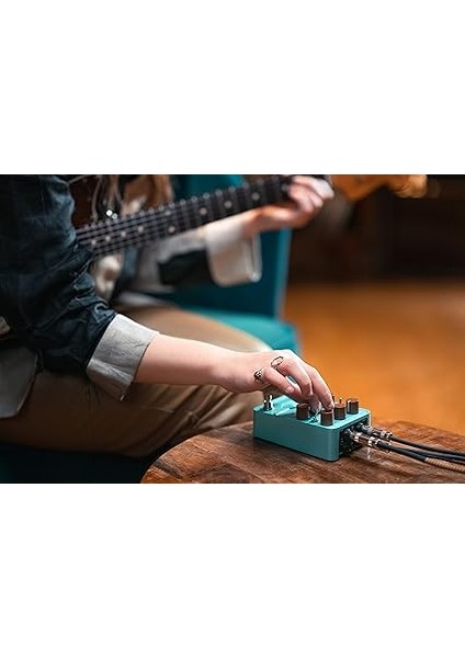 Audio Del-Verb Ambience Companion Gitar Pedal fiyatları