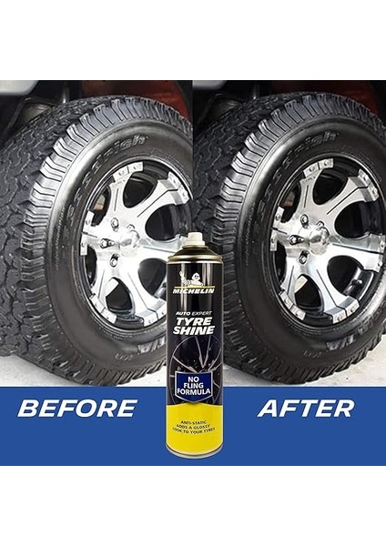 MC31432 520ML Lastik Parlatıcı Sprey modelleri