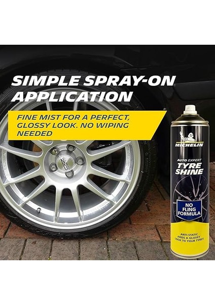 MC31432 520ML Lastik Parlatıcı Sprey fırsatları