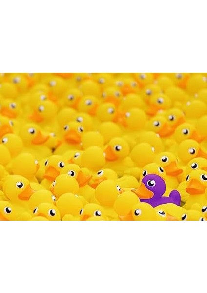 Puzzle Plastik Ördekler fiyatları