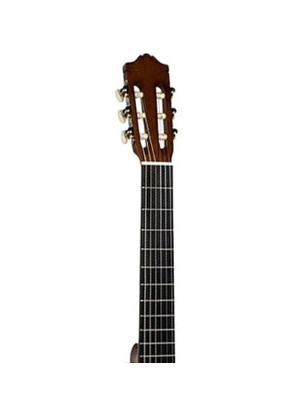 C30 Klasik Gitar fırsatları