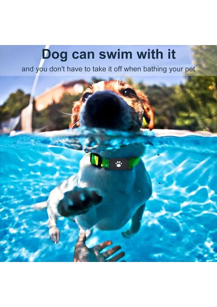 Köpek Yakası Tutucu 2 Paket Su Geçirmez Anti-Kaygılı Silikon Kasa Galaxy Smart Tag 2 Pet Dog Cat Yakaları Için (Yurt Dışından) indirimleri