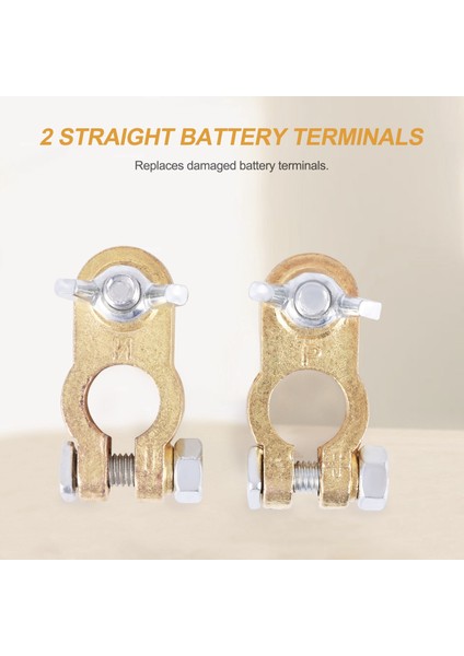 2 Pcs Otomotiv Araç Teknesi Kamyonu Pil Terminal Kelepçe Klipsi Konnektör Pil Kipi Pil Konektörü (Yurt Dışından) fırsatları