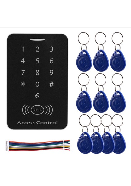 Anti-Kopya Şifrelenmiş Bağımsız Erişim Denetleyicisi 125KHZ Kimlik Kimlik Erişim Kontrolü Tuş Takımı Sakatı Panel Kart Okuyucu Kapı Kilidi (Yurt Dışından)