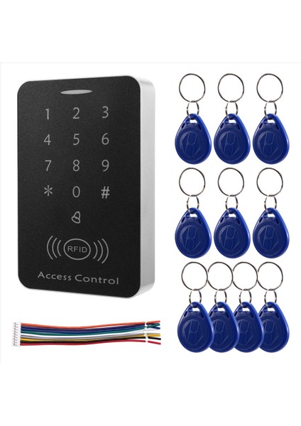 Anti-Kopya Şifrelenmiş Bağımsız Erişim Denetleyicisi 125KHZ Kimlik Kimlik Erişim Kontrolü Tuş Takımı Sakatı Panel Kart Okuyucu Kapı Kilidi (Yurt Dışından) modelleri