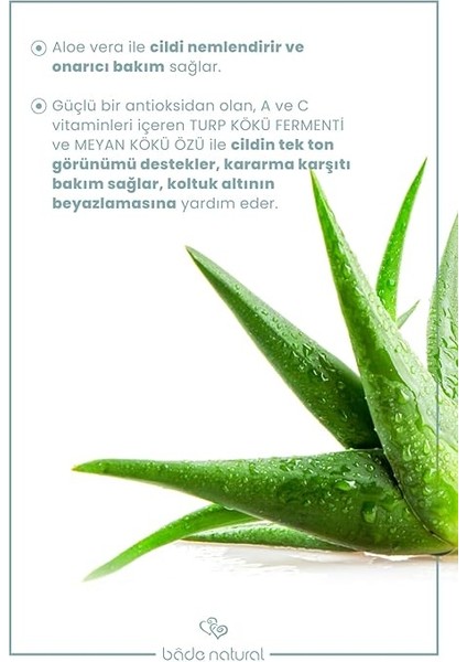 Natural Doğal Roll On Beyazlatıcı Ter Kokusu Önleyici Koltuk Altı DEODORANT%100 Doğal ve Vegan 50 ml indirimleri