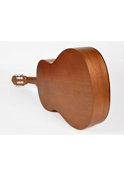 Klasik Gitar 4/4 Mat Kılıf ve Pena fiyatları