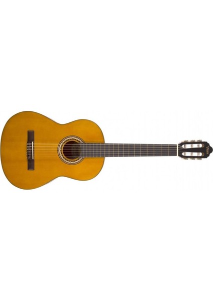 Klasik Gitar 4/4 Mat Kılıf ve Pena fırsatları