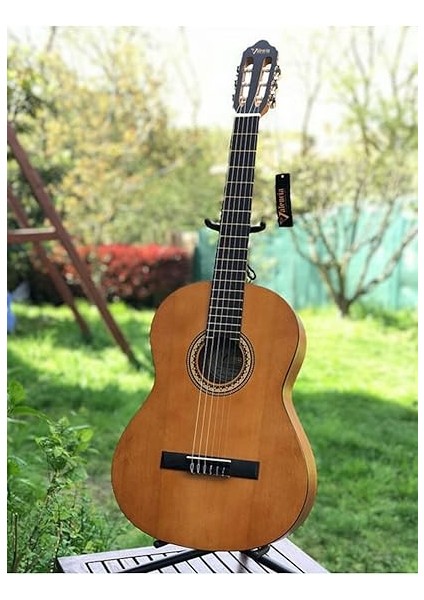 Klasik Gitar 4/4 Mat Kılıf ve Pena indirimleri