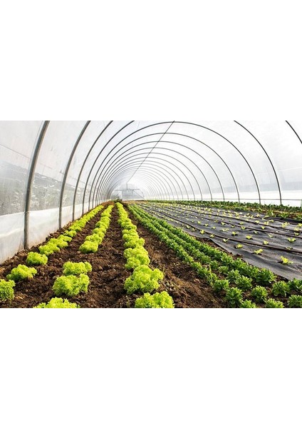 36 Aylık Sera Naylonu 350 Mikron Uv-Ab-Ir-Eca-Ld Katkılı ( Süper Kalınlık, Dayanıklılık Sera Örtüsü ) fiyatları