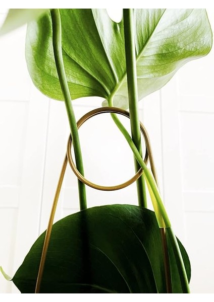 Destek Çubuğu – Siyah Metal Kancalıiğne Model, 65 Cm, Sarmaşık ve Büyük Yapraklı Bitkiler Için fırsatları