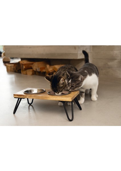 Lzrdwzrd Beeztees Dbl Kedi Ikili Mama ve Su Kabı, Paslanmaz Çelik, Beyaz, 31X16X10CM, 2X350ML fırsatları