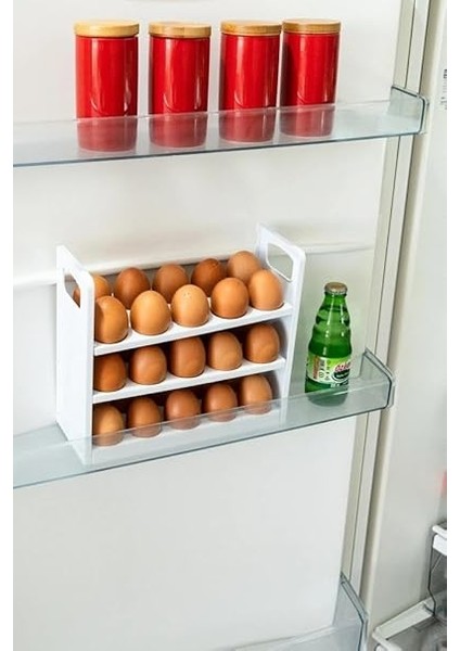 Life 3 Katlı 30 Bölmeli Buzdolabı Içi Yumurtalık Organizeri MIT1094 fırsatları