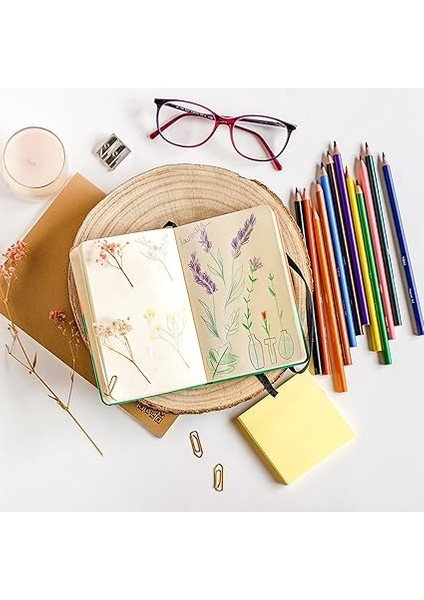 Intensity Kuru Boya Kalemi 12 Renk, 3.2mm Uç, Kolayca Açılır, Darbelere Dayanıklı Uç, Yetişkin Boyama Için Ideal fiyatları