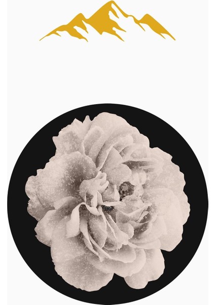 Yuvarlak Dijital Baskı Gül Desenli Dot Kaymaz Tabanlı Halı H0314 modelleri