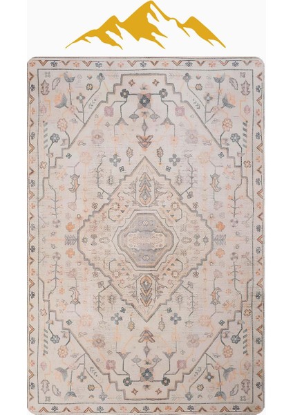 Parlak Kadife Kumaş Vıntage Dijital Baskı Dot Kaymaz Tabanlı Halı H0826 modelleri