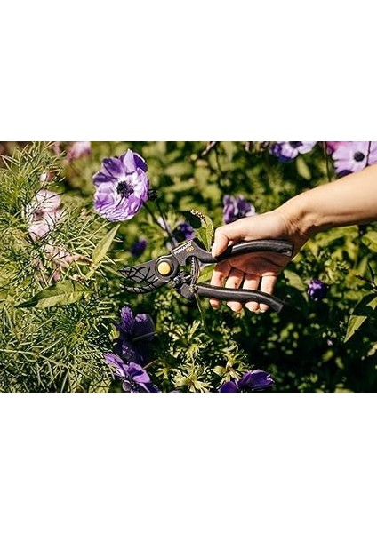 Bypass Bıçaklı Budama Makası, Kesme Çapı: 2,6 Cm, Yapışmaz Kaplamalı Yüksek Kaliteli Çelik Bıçaklar, Uzunluk: 22,5 Cm, Siyah/turuncu, Pro, P90, 1001530 fırsatları