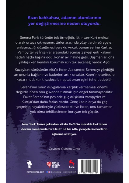 Alfa - Ali Hazelwood modelleri