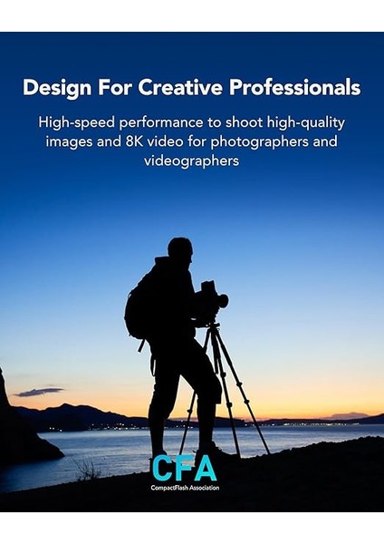 Professional Sılver Serisi 256 GB Cfexpress Kart, Tip B Cfe Kart, 1750 Mb/s'ye Kadar Okuma Hızı, Pcıe GEN3X2 Özellikli Cf Kart, Dslr ile Uyumlu, Xqd Kamera ile Ters (LCXEXSL256G-RNENG) modelleri