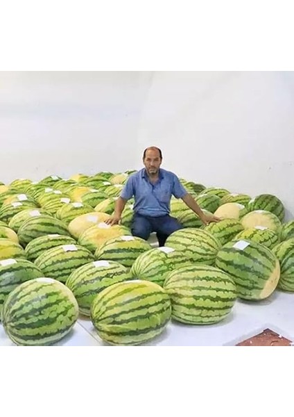 Karpuz (Çoklu Tohum) - 5 Gram fiyatları