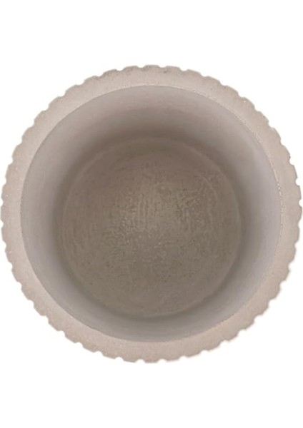 Lusaka Diş Fırçalık modelleri