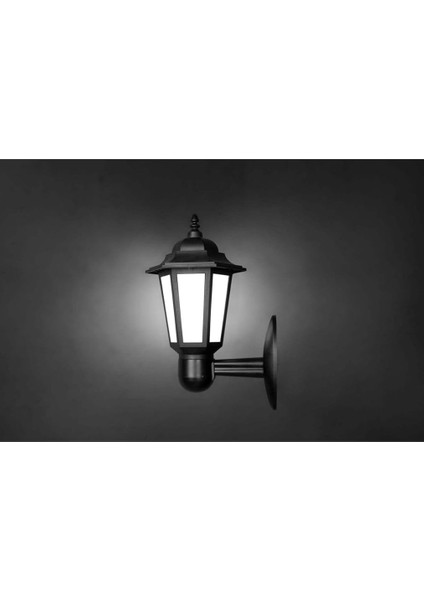 Geldi Zita Bahçe Aydınlatması Klas Aplik Bahçe Aydınlatma Dış Mekan Aplik Bahçe Lambası indirimleri