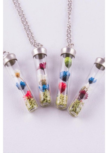 Çuvuk Mantar Tıpalı Fanus Canlı Kolye