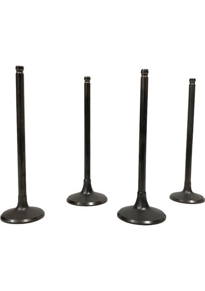 Kawasaki KLX300 KLX300R 12004-1111 12005-0031 BR250 Z250SL Için 4pcs Alım ve Egzoz Valfleri (Yurt Dışından)