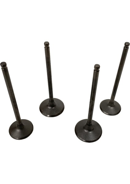 Kawasaki KLX300 KLX300R 12004-1111 12005-0031 BR250 Z250SL Için 4pcs Alım ve Egzoz Valfleri (Yurt Dışından) fiyatları