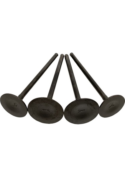 Kawasaki KLX300 KLX300R 12004-1111 12005-0031 BR250 Z250SL Için 4pcs Alım ve Egzoz Valfleri (Yurt Dışından) modelleri