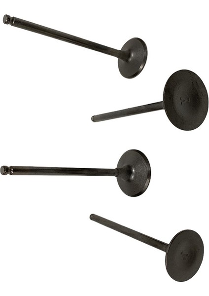 Kawasaki KLX300 KLX300R 12004-1111 12005-0031 BR250 Z250SL Için 4pcs Alım ve Egzoz Valfleri (Yurt Dışından) indirimleri