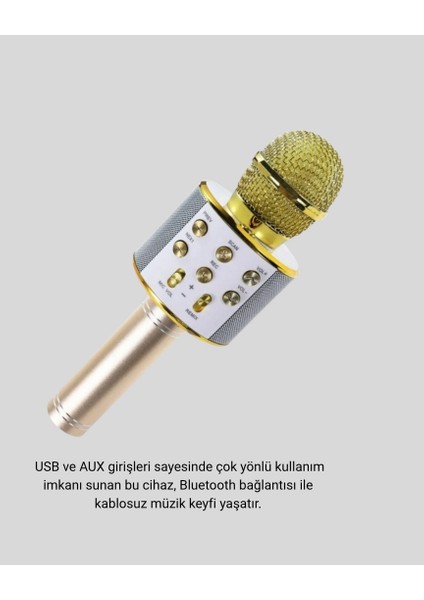 Lzrdwzrd Kablosuz Karaoke Mikrofon USB Aux Destekli Parti ve Eğlence Için modelleri