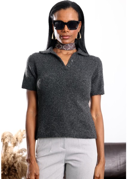Antrasit Polo Yaka Kısa Kol Triko 0111 fırsatları