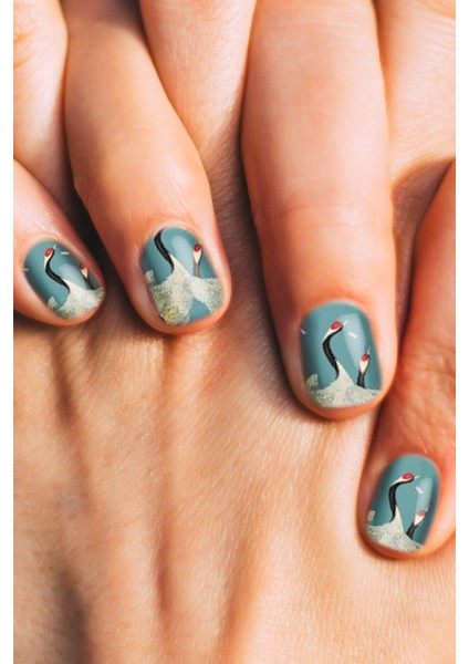 Mavi Kuğu Desen Tırnak Dövmesi modelleri