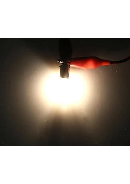 Adet 12V H6W 6W Standart Renk Ampul BAX9S modelleri