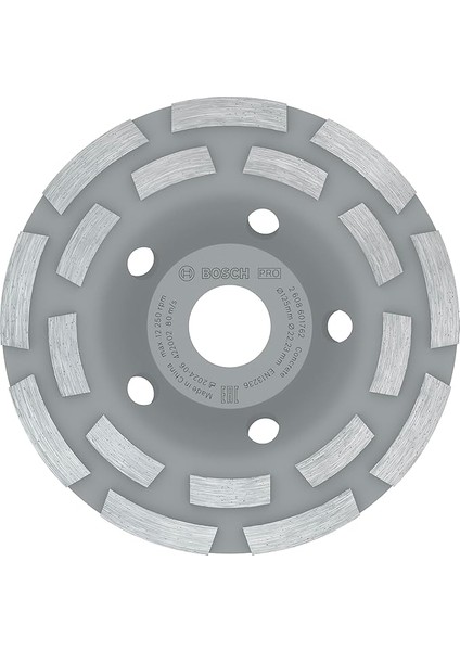 Professional Accessories Elmas Taşlama Diski Açılı Taşlamalar Için Uzman (Beton Için, Taşlama Diski: 125 Mm, Delik: 22,23 Mm, Beton Taşlama Makineleri Için Aksesuarlar)