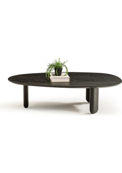 Raven Orta Sehpa Iı fiyatları