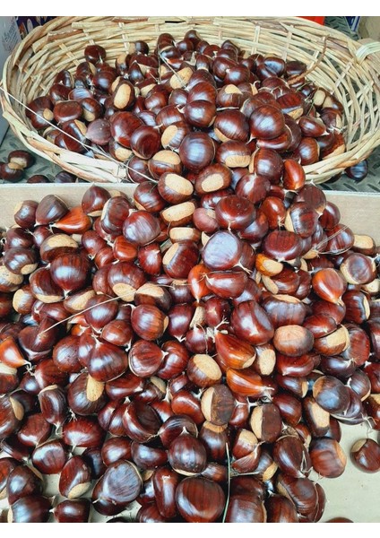 Aydın Şekerci Kestane Yeni Mahsül 1kg