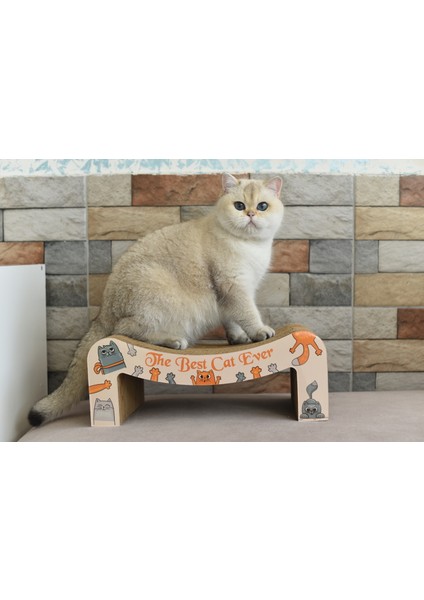 Karton Kedi Tırmalama , Konsept Desenli Kedi Tırmalama Tahtası , 40*25*15 cm fiyatları