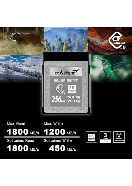Element 256GB Cfexpress Type-B Hafıza Kartı fiyatları