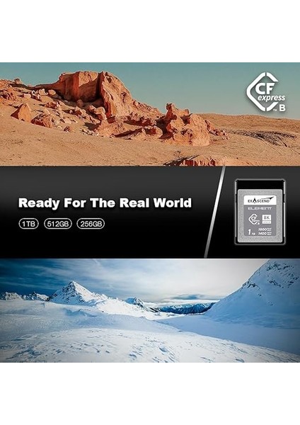 Element 256GB Cfexpress Type-B Hafıza Kartı modelleri