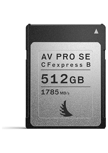 Pro Cfexpress Se Type B 512 GB AVP512CFXBSE Siyah/gümüş modelleri